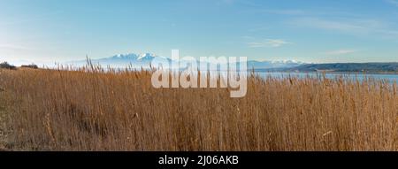 Le mont Canigou sur l'étang de Salses ou Leucate Stockfoto