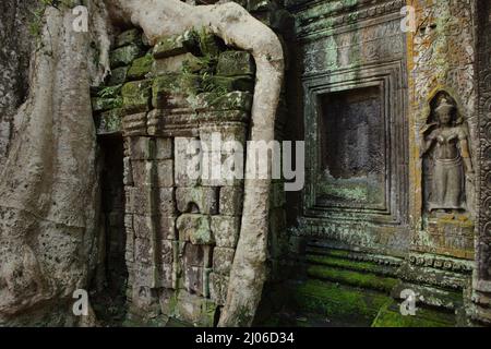 Apsara Figur an der Wand von Ta Prohm, Siem Reap, Kambodscha. Stockfoto