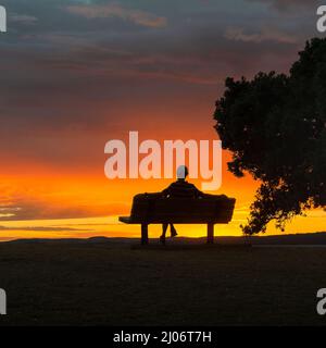 Silhouettenbild eines Mannes, der bei Sonnenaufgang auf der Bank sitzt. Umrahmt von Pohutukawa-Bäumen. Auckland. Stockfoto