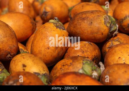 Arecanut oder Betelnuss nach der Ernte von seinen Bäumen in der Sonne zum Trocknen gehalten Stockfoto