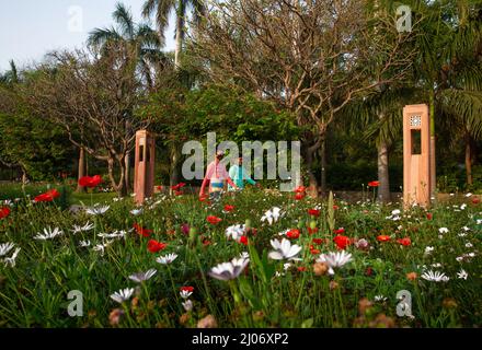 Neu-Delhi, Indien. 17. März 2022. In einem Garten in Neu-Delhi, Indien, wandern Menschen an blühenden Blumen vorbei, 17. März 2022. Quelle: Javed Dar/Xinhua/Alamy Live News Stockfoto