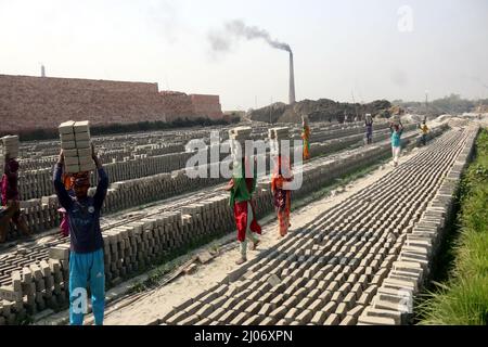 Non Exclusive: DHAKA, BANGLADESCH - MARCH16, 2022: Arbeiter transportieren Ziegelsteine auf ihren Köpfen in einer Ziegelfabrik. Aufgrund der hohen Nachfrage nach Ziegeln aufgrund Stockfoto