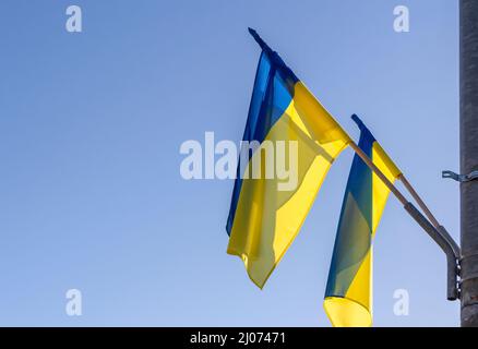 Ukrainische Flaggen winken im Wind Stockfoto