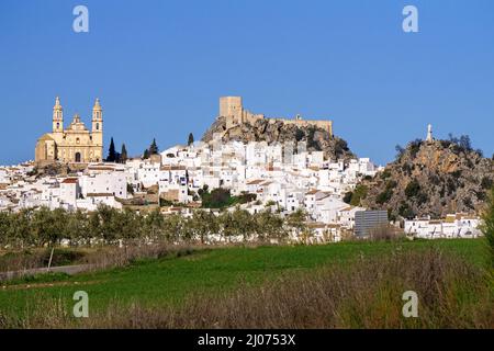 Das weiße Dorf Olvera mit Schloss und Kirche Nuestra Señora de la Encarnacion, Olvera, Pueblo Blanco, Provinz Cadaz, Andalusien, Spanien Stockfoto