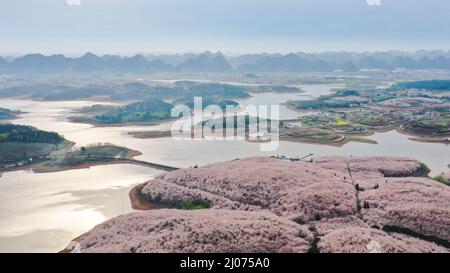 Guiyang. 17. März 2022. Luftaufnahme vom 17. März 2022 zeigt blühende Kirschblüten in einem Kirschgarten in Guian New Area in Guiyang, südwestlich der chinesischen Provinz Guizhou. Vor kurzem wurde in Guiyang ein Kirschgarten mit einer Fläche von 24.000 mu (ca. 1.600 Hektar) und 700.000 Kirschbäumen zur Blütezeit eröffnet, was einen großen Touristenstrom anzieht. Kredit: Ou Dongqu/Xinhua/Alamy Live Nachrichten Stockfoto