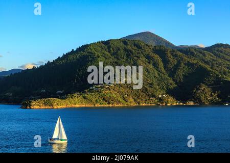 Eine Yacht, die entlang der bergigen Küste von Queen Charlotte Sound in den Marlborough Sounds, Neuseeland, fährt Stockfoto