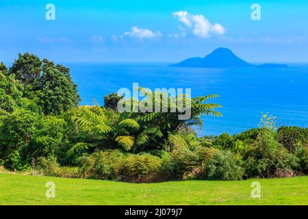 Moutohora (Whale) Island, ein Naturschutzgebiet in der Bay of Plenty, Neuseeland, von Kohi Point aus gesehen, Whakatane Stockfoto