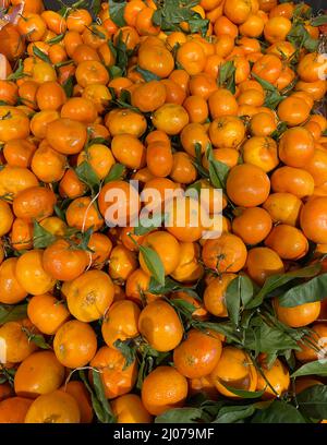 Theken in einem Supermarkt mit Gemüse und Obst. Einkaufen in einem Supermarkt. Selektiver Fokus Stockfoto