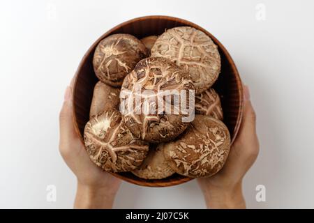 Shiitake-Pilze auf weißem Hintergrund Stockfoto