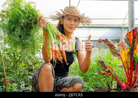 Glückliche Frau mit einem Haufen frisch geernteter Karotten im Garten des Hinterhofs. Bio-Lebensmittel Landwirtschaft, gesunde Lebensweise Lebensmittel von Bauernhof zu Tisch. Stockfoto