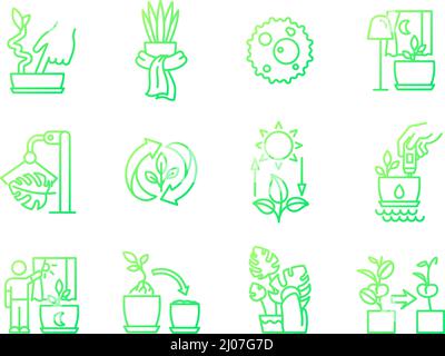 Pflege von Zimmerpflanzen Gradient Gradient lineare Vektor-Symbole gesetzt Stock Vektor