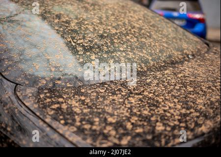 Staub und Schmutz auf einem Auto aufgrund eines Sandsturms, der aus der sahara in Madrid eintraf Stockfoto