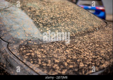 Staub und Schmutz auf einem Auto aufgrund eines Sandsturms, der aus der sahara in Madrid eintraf Stockfoto