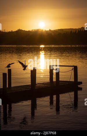 Sonnenuntergang am Lake Windermere Stockfoto