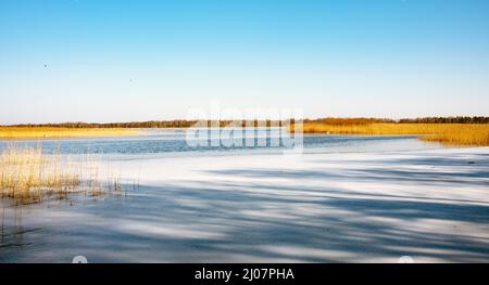 Frühlingslandschaft am Kaņieris-See im Ķemeri-Nationalpark, Lettland Stockfoto