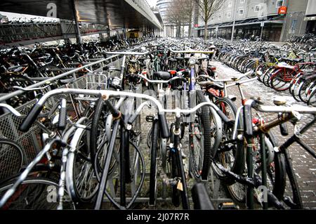 Großer Fahrradparkplatz neben Centraal Station, Amsterdam, Niederlande Stockfoto