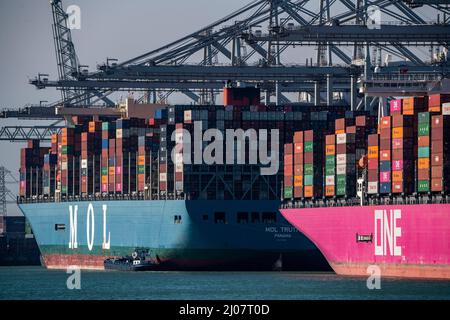 Der Seehafen von Rotterdam, Maasvlakte, Hutchinson ECT Delta Terminal, Container Terminal, in den Amazonehaven Container Frachtern der Reederei comp Stockfoto