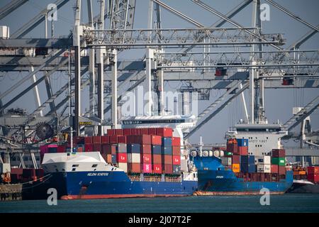 Der Hafen von Rotterdam, Maasvlakte, Hutchinson ECT Delta Terminal, Container Terminal, in Amazonehaven Rotterdam Niederlande, Stockfoto