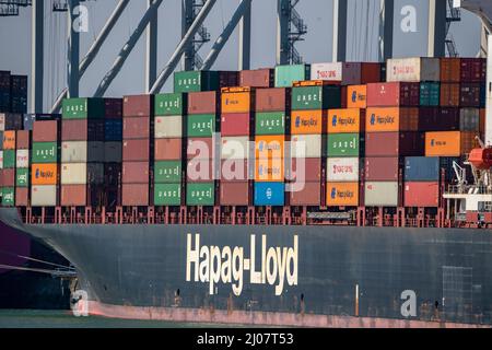 Der Seehafen von Rotterdam, Maasvlakte, Hutchinson ECT Delta Terminal, Container Terminal, im Amazonehaven, Containerfrachter von Hapag-Lloyd Shipp Stockfoto