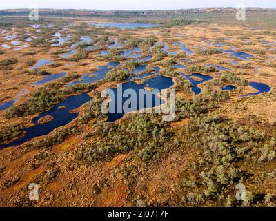 Sumpf, Moor und Seen im estnischen Naturschutzgebiet Kakerdaja. Drohnenansicht Stockfoto