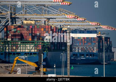 Der Seehafen von Rotterdam, Niederlande, Tiefseehafen Maasvlakte 2, auf einem künstlich geschaffenen Landgebiet vor der ursprünglichen Küste, RWG Container Terminal Stockfoto