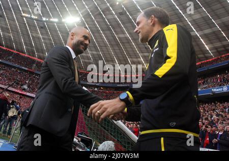 Josep Pep Guardiola Trainer Cheftrainer FC Bayern begrüsst Thomas Tuchel , Trainer Cheftrainer Borussia Dortmund Fussball 1. Bundesliga : FC Bayern München - Borussia Dortmund © diebilderwelt / Alamy Stock Stockfoto