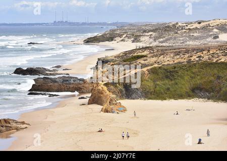 Grasbewachsene Sanddünen, der Strand Praia do Malhao, der Südwesten von Alentejo und der Naturpark Vicentine Coast im Südwesten Portugals. Stockfoto