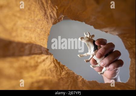 Eine Hand legt eine Kuhfigur in einen Papierbeutel. Die Hand eines reifen Mannes hält das Spielzeug eines Kindes über einer offenen braunen Tasche. Von unten nach oben geschossen. Nahaufnahme. Auswahl Stockfoto