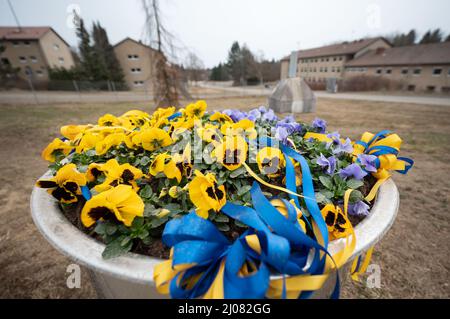 17. März 2022, Baden-Württemberg, Meßstetten: Vor den Gebäuden der ehemaligen Zollernalb-Kaserne steht ein Blumentrog mit Blumen in den Farben der Ukraine. In den letzten Tagen wurde in der ehemaligen staatlichen Erstaufnahmeeinrichtung im Bezirk Zollernalb ein Ankunftszentrum für Flüchtlinge aus der Ukraine eingerichtet. Foto: Marijan Murat/dpa Stockfoto