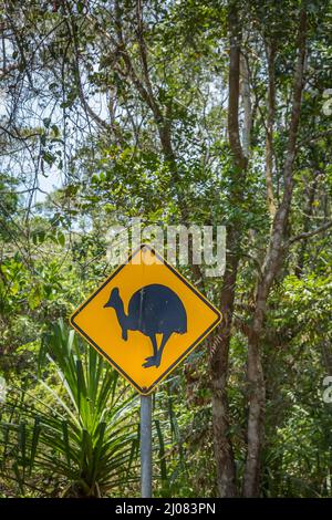 Gelbes Warnschild über Cassowary im Daintree National Park, Queensland, Australien. Stockfoto