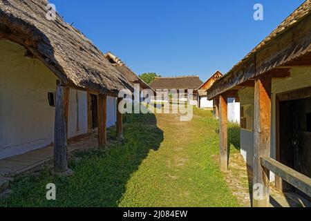 Freilichtmuseum, Bauernhofmuseum, Skanzen, Szentendrei Szabadtéri Néprajzi Múzeum, Region Nordungarn, Dorf, Häuser Stockfoto