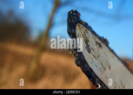 Detail der verschmutzten, gebrauchten Kettensägekette zum Schneiden von Holz. Selektiver Fokus auf Verkettung. Unscharfer natürlicher Hintergrund Stockfoto