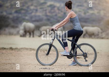 Ungezähmtes Afrika genießen. Aufnahme einer jungen Frau auf einem Fahrrad, die eine Gruppe Nashörner im Veld ansieht. Stockfoto