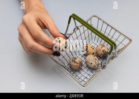 Weibliche Hand legt Wachteleier in einen Korb. Hochwertige Fotos Stockfoto