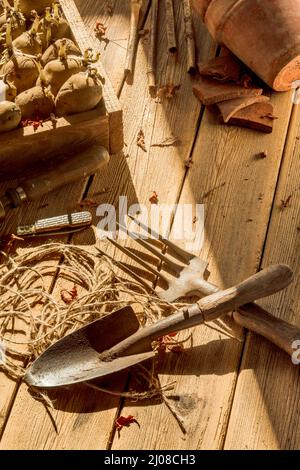 Vintage Gardening Topfstall Bank Stockfoto