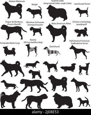 Sammlung von Silhouetten verschiedener Hunderassen: Dachshund, Jack Russell Terrier, Corgi, Schnauzer, Collie, basenji, akita, Beagle, Malamute Stock Vektor