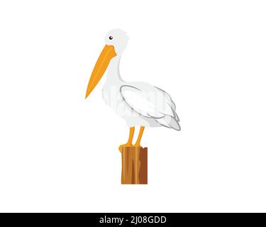 Pelican stehen und sich umsehen Stock Vektor