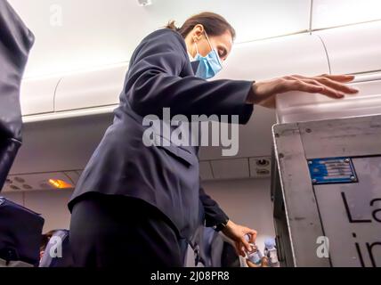 Weibliche Flugbegleiterin in Gesichtsmaske, die Passagieren, die in Stühlen in einer Flugzeugkabine eines Flugzeugs der kroatischen Fluggesellschaft sitzen, Wassergetränke serviert Stockfoto