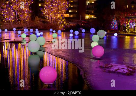 Lights in Pond - Nachtansicht von farbenfrohen Lichtern, die während der Feiertage einen gefrorenen Teich in den Botanischen Gärten von Denver erhellen. Stockfoto