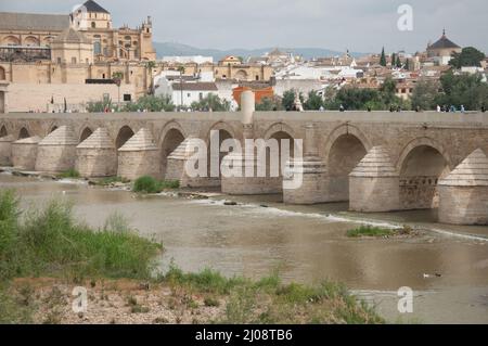 Die römische Brücke über den Fluss Guadalquivir und die Moschee-Kathedrale von Cordoba, Cordoba, Provinz Cordoba, Andalusien, Spanien Stockfoto