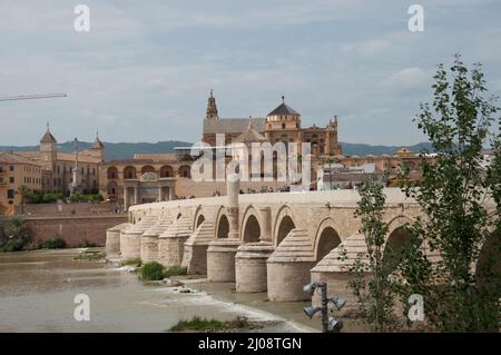 Die römische Brücke über den Fluss Guadalquivir und die Moschee-Kathedrale von Cordoba, Cordoba, Provinz Cordoba, Andalusien, Spanien Stockfoto