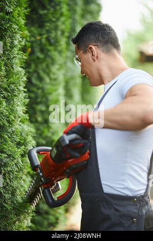 Erfahrener Gärtner in Schutzbrillen und Handschuhen beim Schneiden von grünen Thujas mit elektrischem Trimmer. Kaukasischer Mann, der sich um die Pflanzen im Hinterhof kümmert. Stockfoto