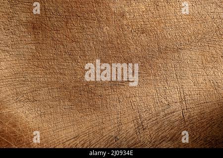 Textur aus zerkratztem Holzmaterial. Farbmuster. Abstrakter Hintergrund Stockfoto