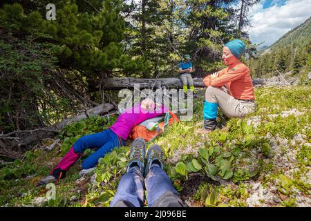 Eine Gruppe von Touristen hat auf einer Lichtung Halt gemacht und ruht sich von einem Wanderweg aus Stockfoto