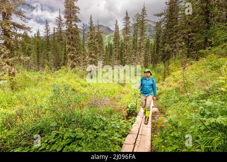 Ein männlicher Wanderer geht auf einem Holzdeck, um das Bodenökosystem im Nationalpark zu schützen Stockfoto