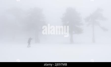 Silhouette eines Mannes, der mit Skiis auf einer Schulter im extremen Nebel gegen kaum sichtbare Bäume läuft Stockfoto