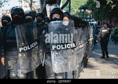 Weibliche Polizisten bereiten sich darauf vor, feministische Demonstranten für den internationalen Frauentag zu verdrängen Stockfoto