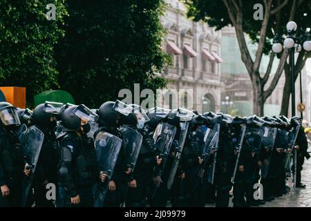 Weibliche Polizisten bereiten sich darauf vor, feministische Demonstranten für den internationalen Frauentag zu verdrängen Stockfoto