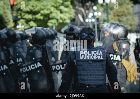 Weibliche Polizisten bereiten sich darauf vor, feministische Demonstranten für den internationalen Frauentag zu verdrängen Stockfoto