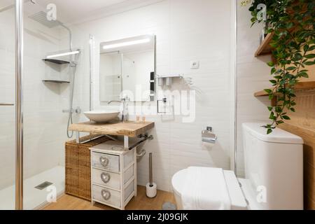 Toilette mit Waschbecken mit weißer Schale auf Holzarbeitsplatte und Duschkabine mit Glasfassade mit Weinpflanzen und einer weißen Kommode Stockfoto